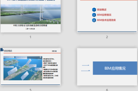 BIM技术在鳊鱼洲长江大桥施工的应用